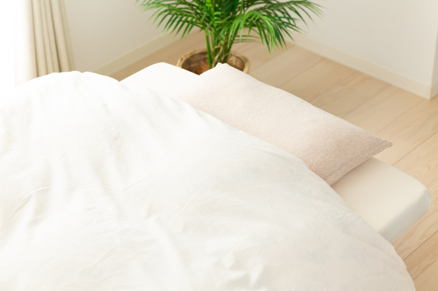 ふとんを外に干せない！ 湿気とにおい対策を教えて