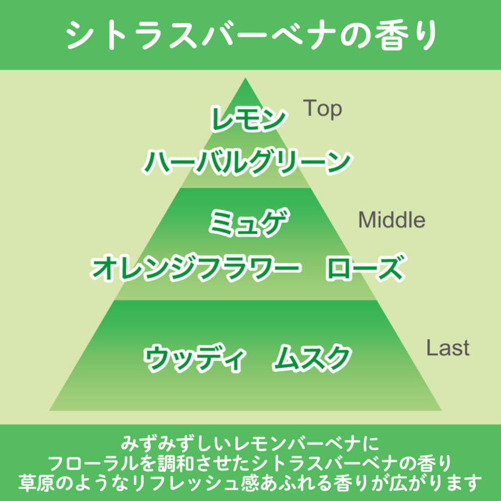 消臭力 プラグタイプ つけかえ シトラスバーベナの香り