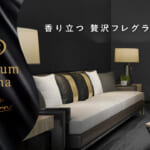 消臭力 Premium Aroma（プレミアムアロマ）玄関・リビング用 ベルベットムスク