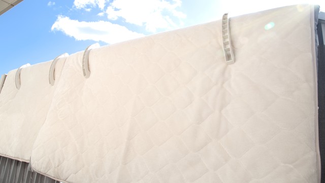 効果的な布団のダニ対策。水洗いや天日干しをすれば安心？