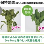 新鮮番