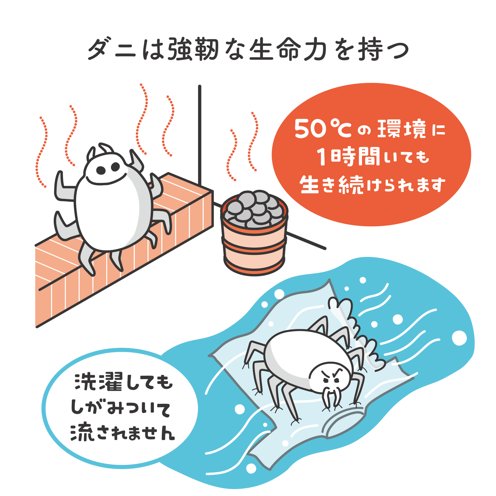 衣類 ダニ対策, 防虫剤でダニは死ぬのか – TYZD