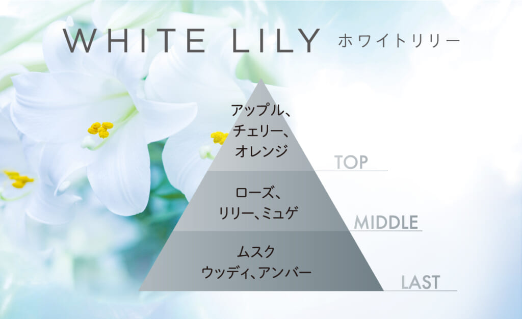 ムシューダ NOTE 引き出し・衣装ケース用 24個入 ホワイトリリー