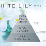 ムシューダ NOTE 引き出し・衣装ケース用 24個入 ホワイトリリー