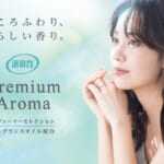 消臭力 Premium Aroma（プレミアムアロマ）玄関・リビング用 Stick つめかえ エターナルギフト