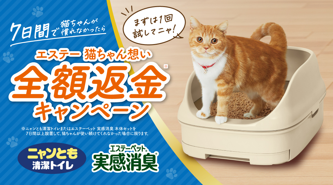 猫ちゃん想い全額返金キャンペーン_トップバナー_20241015〜