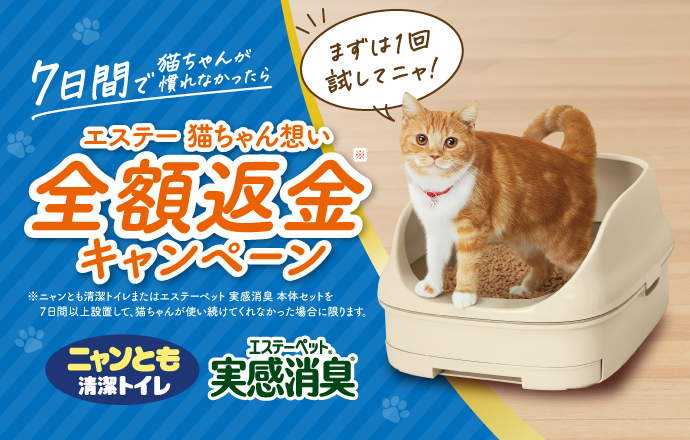 猫ちゃん想い全額返金キャンペーン_キャンペーンバナー_20241015〜