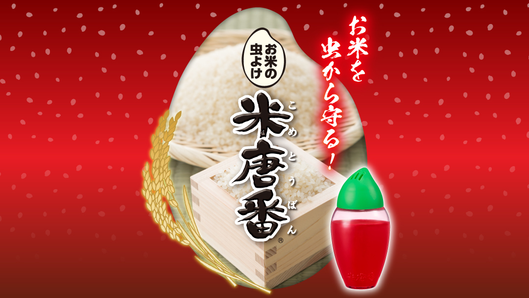 米唐番_トップバナー_20250521〜