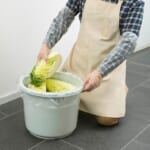 ファミリー ポリエチレン 極うす手 ロング フリーサイズ 半透明 10枚入