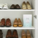 ドライペット NOTE 置き型タイプ サボン