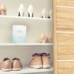 ドライペット NOTE 置き型タイプ サボン