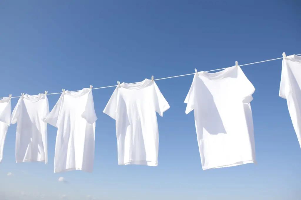 Tシャツのニオイが取れない原因と対策｜プロが教える洗濯・消臭術
