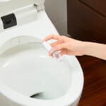消臭力 トイレのミスト COSOTTO 携帯タイプ フレアフルール